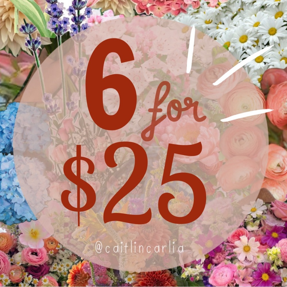 ✨ 6 for $25